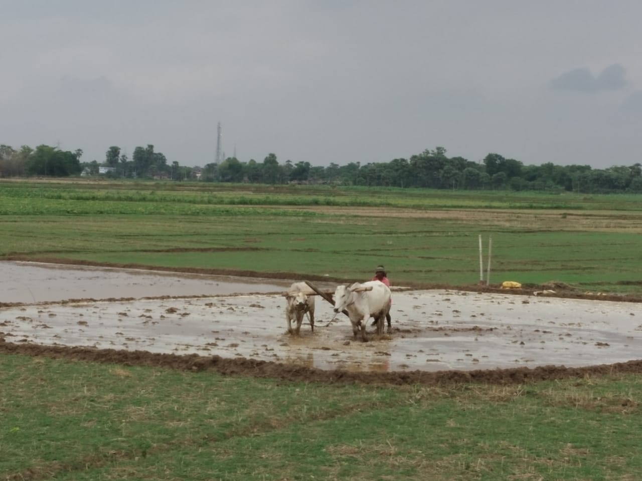 15 जून : नवादा की मुख्य ख़बरें